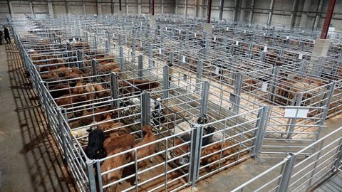 Imagen&nbsp;del nuevo pabell&oacute;n, que ya fue estrenado ayer