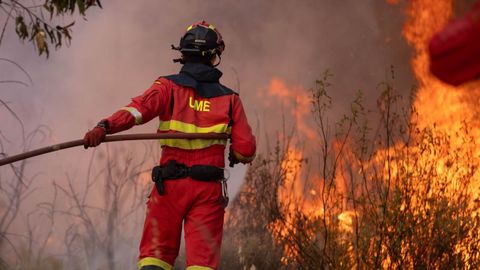 Trabajos de exitinci�n en Niebla, Huelva