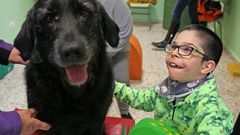 El CEE Mi�o y la asociaci�n Ardai desarrollan una terapia psicosocial con animales