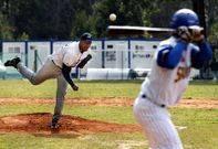 Los Halcones se han convertido en un referente en el mundo del b�isbol en el norte.