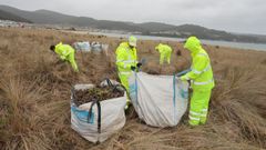 Operarios de Tragsa este mi�rcoles en la playa de Covas