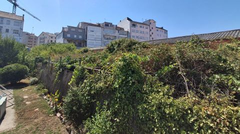 La maleza se extiende sin control desde la verja pegada a la calle hasta el fondo de la finca