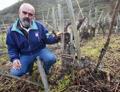 El bodeguero Alberto Nanclares elaborar� su segundo vino en la Ribeira Sacra. 