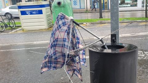 Paraguas en una papelera