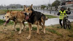 El �mushing� llega a Lal�n