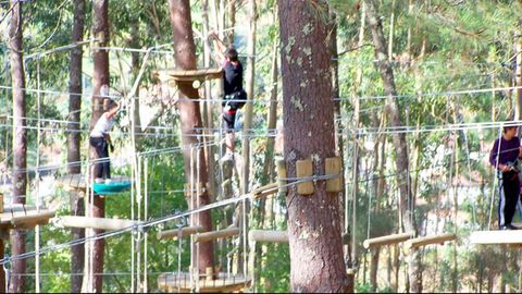 El Ecoparque Marn ofrece a los ms atrevidos la posibilidad de subirse a los rboles a probar nuevos retos 