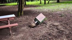 Papelera arrancada del suelo en el parque municipal de O Carballi�o