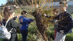 Actividad de Voz Natura