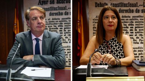 El expresidente de la SEPI Vicente Fernndez y la exfontanera del PSOE Leire Dez