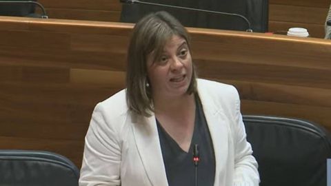 La vicepresidenta del Principado, Gimena Llamedo, en el Pleno