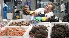 Mar�a May�n, pescantina de Ribeira