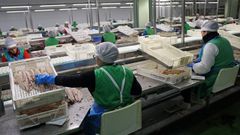Empresa Actemsa, en A Pobra do Carami�al