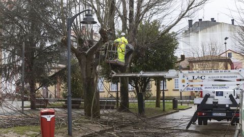 Labores de poda en un concello de la Costa da Morte, en imagen de archivo