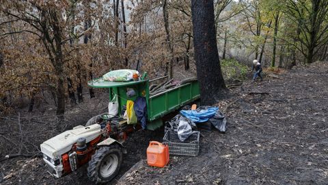 Crearn un sendero circular en el monte