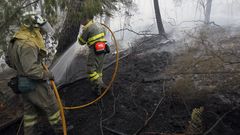 Incendio forestal en la parroquia de Padr�ns (Ponteareas) en el 2015