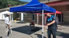 coronavirus Asturias.Instalaci�n de un autocovid en Cangas del Narcea