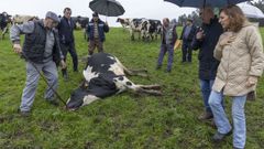 La conselleira se reui la semana pasada en O Pino con ganaderos afectados por ataques de lobo