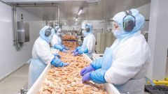Empleadas de la planta de Zaragoza trabajando el langostino.