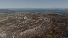 Aspecto de la monta�a de Manzaneda afectado por los incendios del a�o pasado