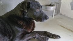 Carballal se encuentra en buen estado en la cl�nica