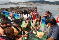 La visita a las bateas y las degustaciones son otras de las actividades que incluyen las rutas. 
