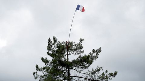 Bandera francesa en un �rbol en el tour de Francia