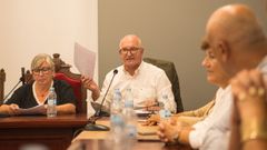 Freire ya avanz algunos datos sobre la situacin econmica en el pleno de mocin de censura del lunes.