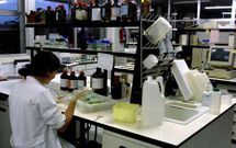 El nuevo centro de Vigo iba a integrar a los investigadores del IIM que tiene su sede en Bouzas.