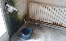 La humedad se apodera de los espacios de la tercera planta del edificio, con fuerte grado de deterioro.
