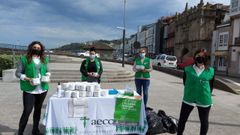 Rollos de papel higi�nico de regalo. Profesionales y voluntarios de la AECC resaltaron la importancia del �cribado de heces� para prevenir el c�ncer de colorrectal