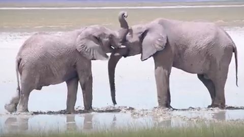 As� es Namibia, el maravilloso �pa�s de mierda�