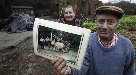 Hilario e a súa dona que lles fixeron hai xa moitos anos do seu carro e as vacas que agora estrañan.
