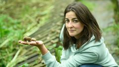 Granja de caracoles en Santeles, A Estrada