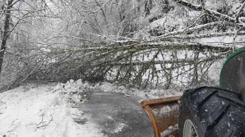 Un �rbol ca�do por la nieve cort� la carretera en Pacios, entre Pedrafita y Seoane do Courel