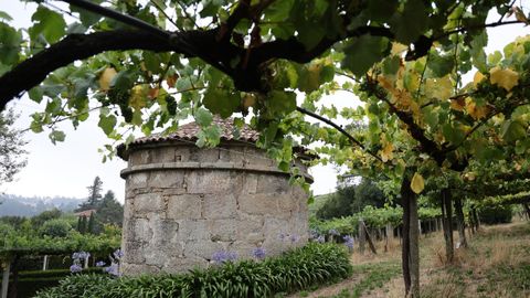 Bodega Pazo de Se�or�ns