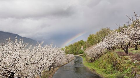 Carretera N-110, en Cceres 