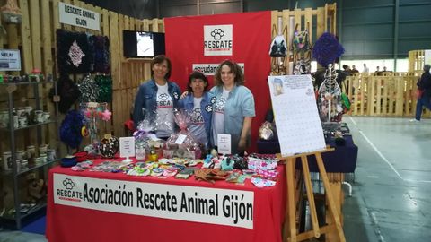 El stand solidario de la asociacin Rescate Animal Gijn