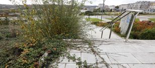 Los arbustos ocupan ya una parte importante de las aceras y llegan a cubrir la mitad de alguna escalera de la urbanizaci�n. 
