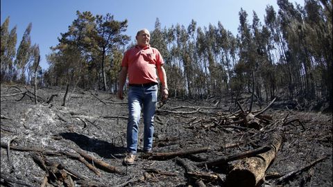 Zona quemada por el fuego de Dodro-Rianxo