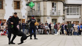Exhibici&oacute;n canina, por la Guardia Real. Viveiro
