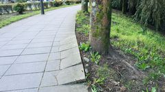 Vite imagen a imagen