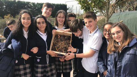 Los alumnos construyeron su propio hotel de insectos