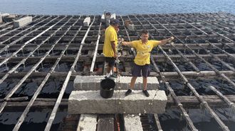 Bateas en la ria de Arousa, visitadas en la nueva ruta dise�ada por el Concello de Ribeira para el verano