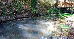 La idea es sellar los pozos para evitar filtraciones al r�o, especialmente en el tramo urbano.