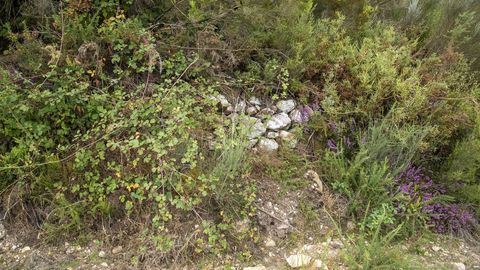 Piedras en un paraje donde al parecer existió unantiguo horno