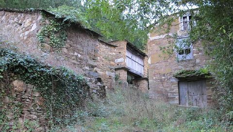Ponte
