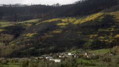 Una visita de la aldea de Vilamor y su entorno cinco meses despus de los incendios del 2022