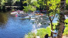 Regata de piragismo de la Festa da Empanada de Allariz, en una edicin anterior.
