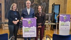 De izquierda a derecha, la subdirectora de Coordinación Asistencial y Cuidados del Sespa, Marta Huerta, el director general de Salud Pública y Atención a la Salud Mental, Ángel López,y Ana Fernández Ibáñez, responsable de Vigilancia Epidemiológica de la Consejería de Salud