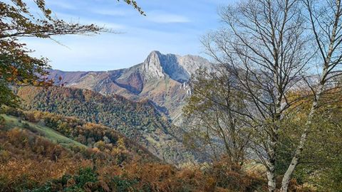 Ruta de Tiratordos